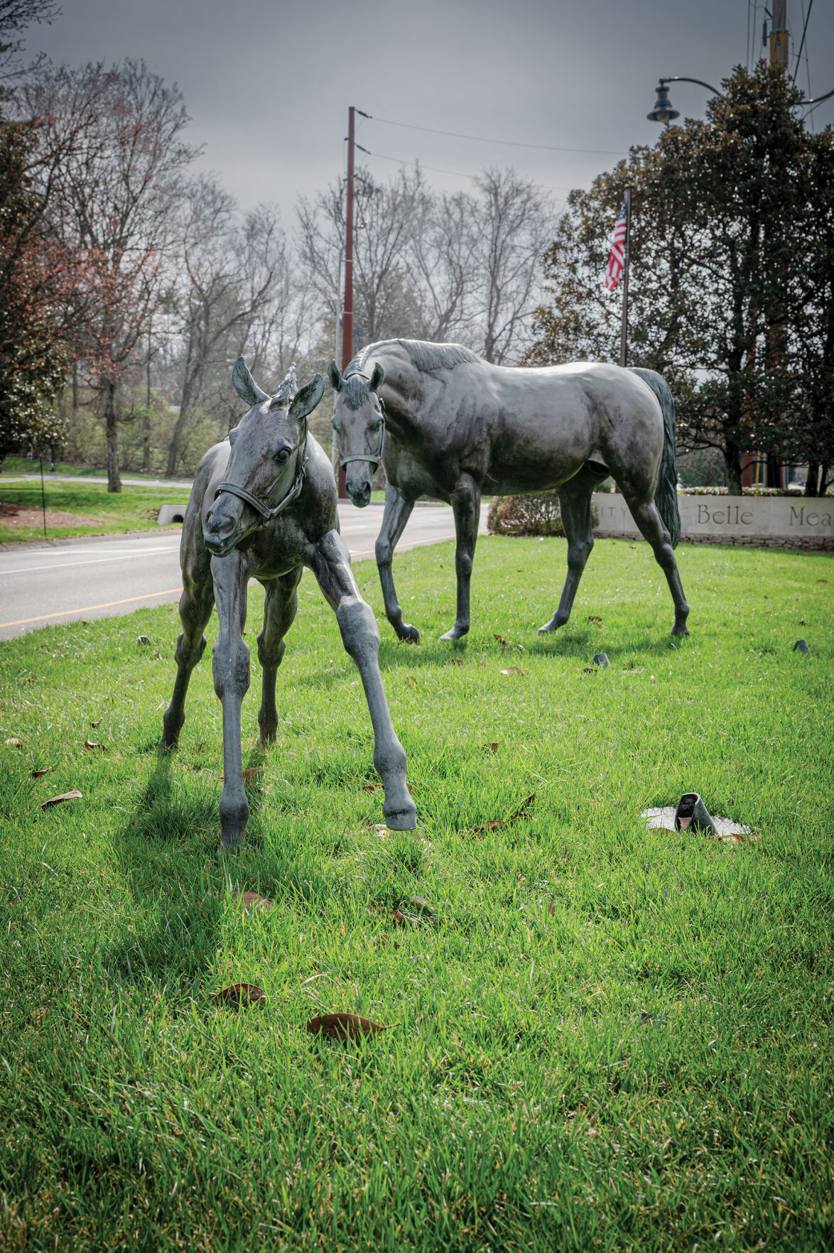 BelleMeade-9424.jpg